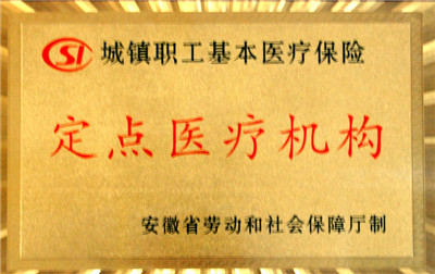 城鎮(zhèn)職工基本醫(yī)療保險定點醫(yī)療機構